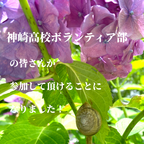 4644AE79-F107-4A76-8360-9CFF8326046F.png