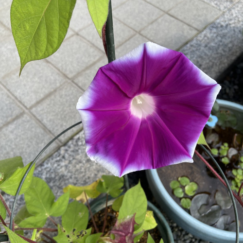 0515E72B-086C-4826-B17B-34C8BC609937.jpeg