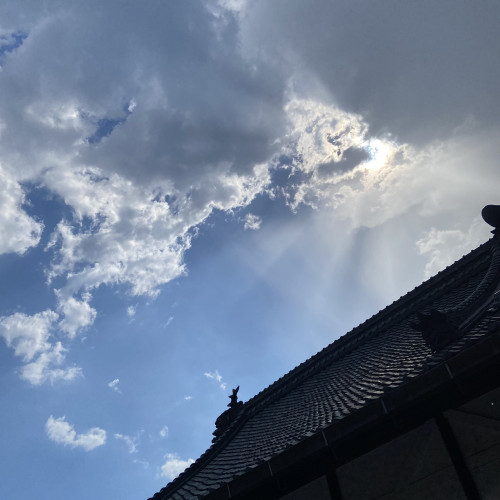 C672CB81-1F54-4F4D-9221-A17F578208F0.jpeg