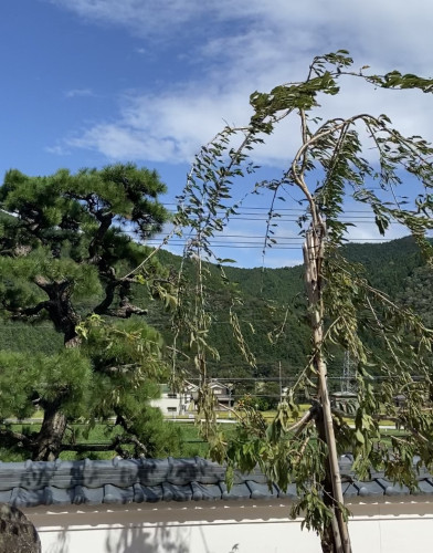 3767D739-7D5A-4AF1-97BA-85CBB54E86A6.jpeg