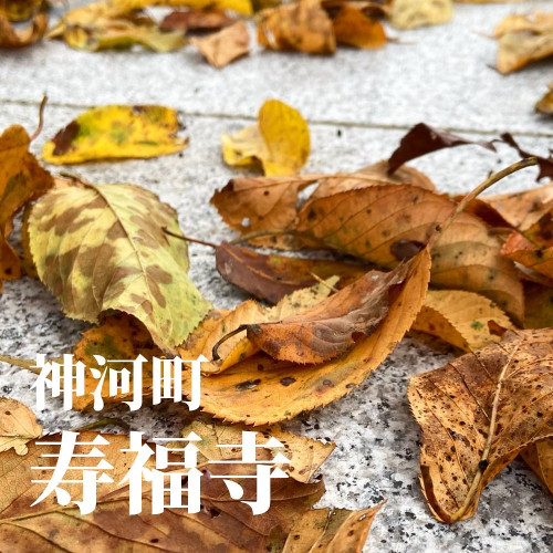 1998503B-CF81-40EF-8406-EC5BBCA1A395.jpeg
