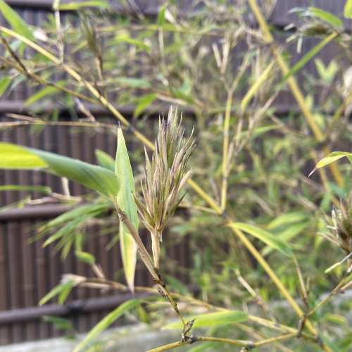 908AA32F-7234-40D9-AF0D-3FC5B1669395.jpeg