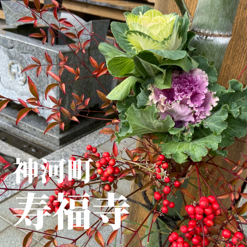 7D15F4E6-3A9E-45C9-9001-E1F381D51519.png