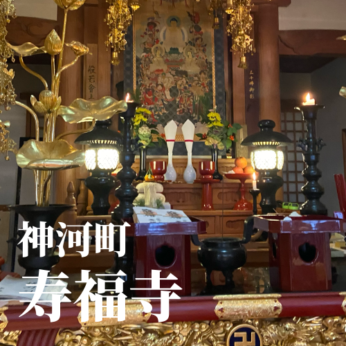 C5A4A95D-FEAD-4198-AD26-A256AC84D5F2.png