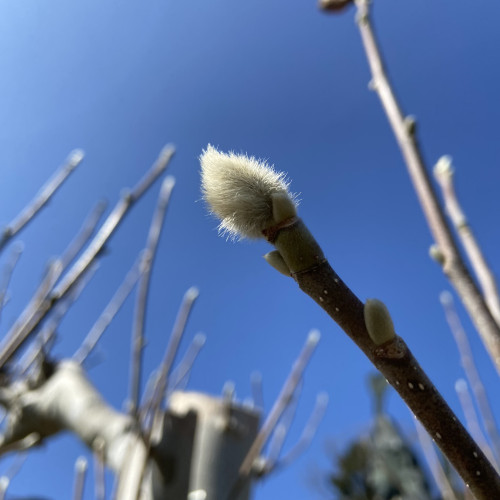 05803A33-72A2-4AB0-9068-595BEE673D60.jpeg