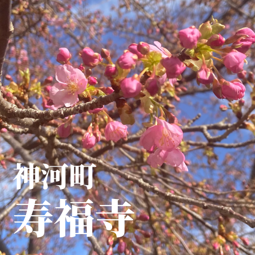B40E5F07-7126-4867-A747-9A3F9FA3BFC6.png