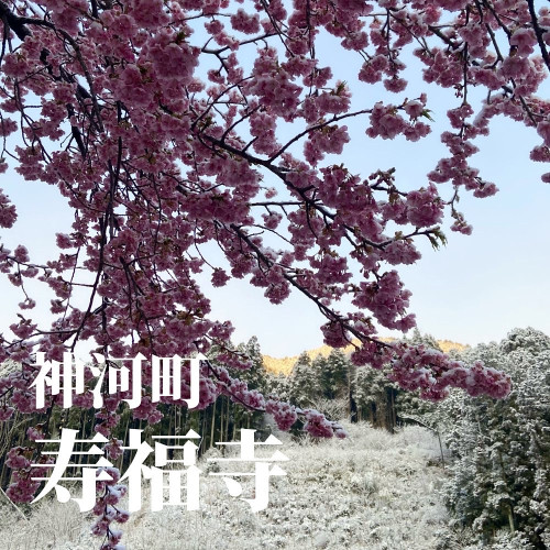 665326CA-6736-475C-9DBE-66E5F606565E.jpeg
