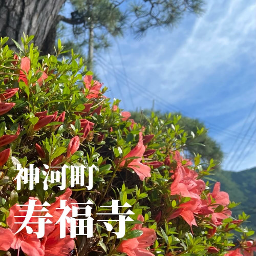 EF4E7190-E65C-41F6-91C0-0A9DDDA0630E.jpeg