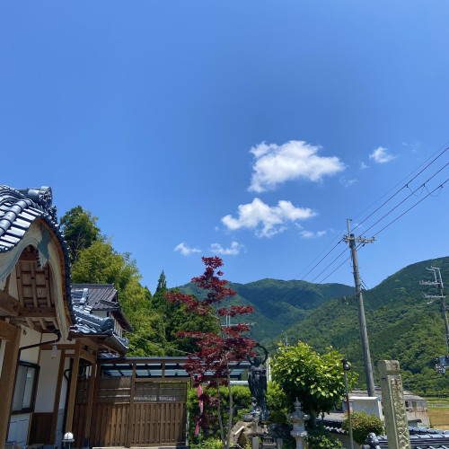 IMG_4988.jpeg