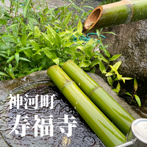 今日の花2_20240701225517.png