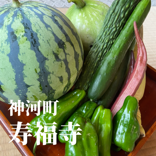 今日の花2_20240731220111.png