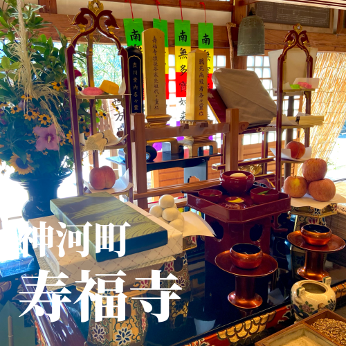 今日の花2_20240801230212.png
