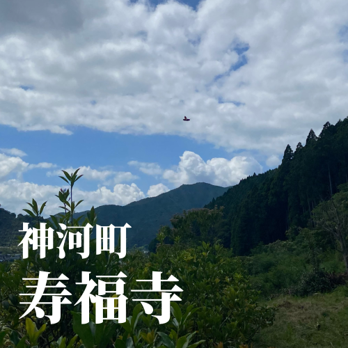 今日の花2_20240812221323.png