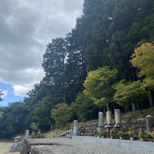 IMG_5485.jpeg