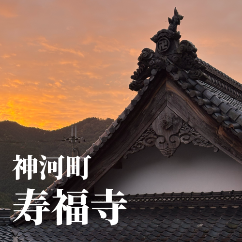 今日の花2_20241022144130.png
