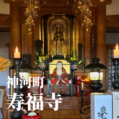 今日の花2_20241212164527.png