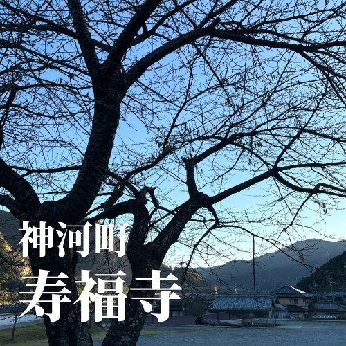 986CC84C-26D0-4E74-B0A0-5ADF6BADA932.jpeg