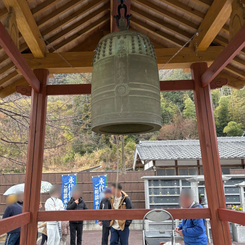 IMG_7383.jpeg