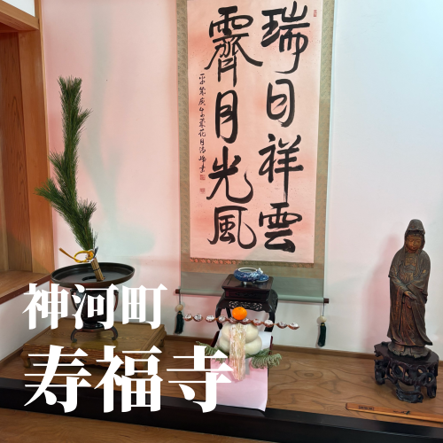 今日の花2_20250101163627.png