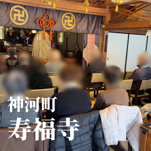 今日の花2_20250105162923.png