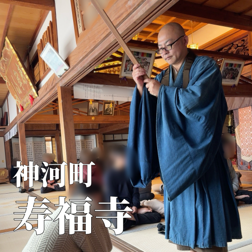 今日の花2_20250123223632.png