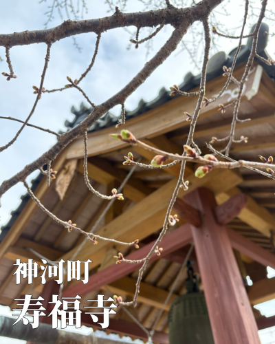 無題35_20250312212624.png