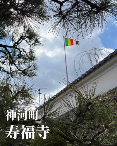 5E22C77A-7ABA-4BE7-ABEC-1A27DE0F0459.jpeg