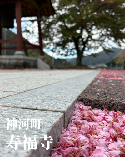無題35_20250415200221.png