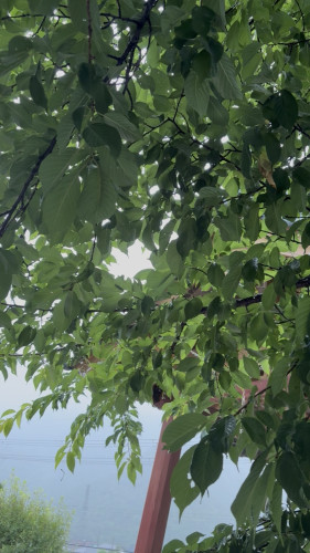 IMG_9073.jpeg