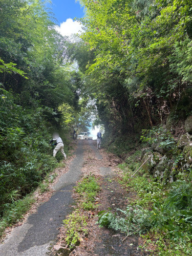 IMG_9419.jpeg