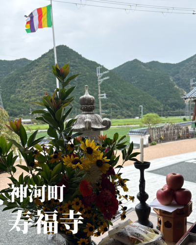 無題35_20250923154700.png