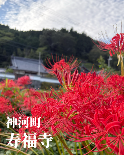 無題35_20250930195215.png