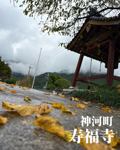 FE3B8254-2B29-4FD5-A74E-654D0133005D.jpeg