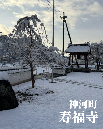 無題35_20251204225415.png