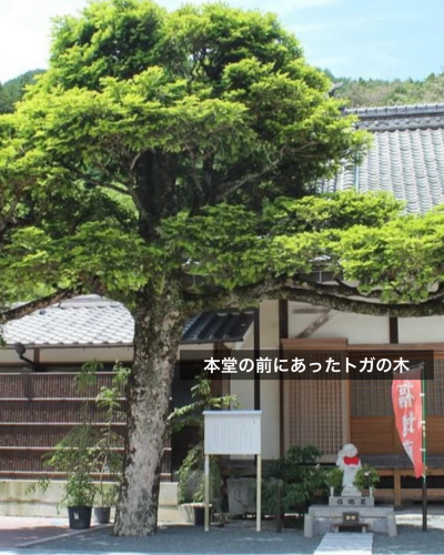 無題35_20260115114656.png