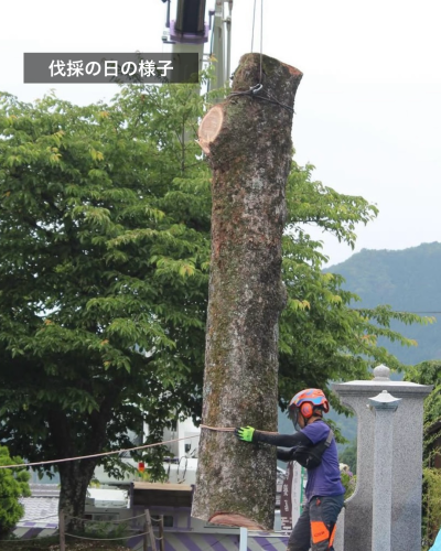 無題35_20260115112933.png
