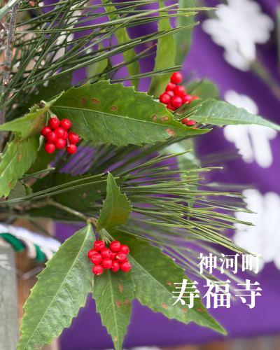 無題35_20260101200515.png