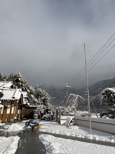 IMG_1861.jpeg
