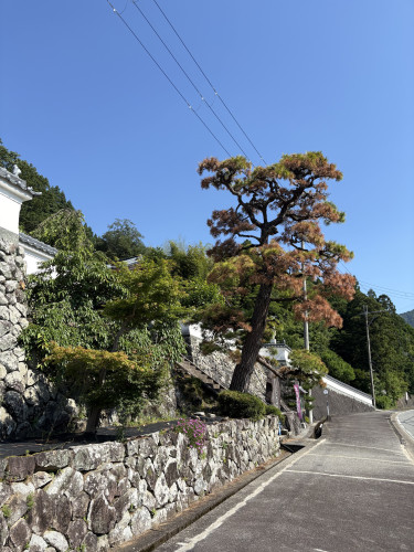 IMG_3035.jpeg