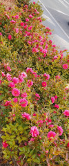 photostudio_1643861931667.jpg