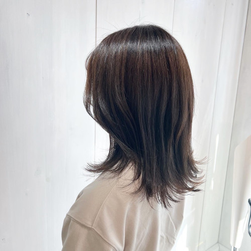 メンテナンスカット