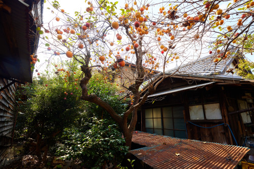 S邸母屋外観２.jpg