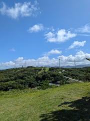 PXL_20260828_041820435.jpg