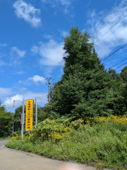 PXL_20260828_021021453.jpg