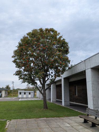 PXL_20260914_024334125.jpg