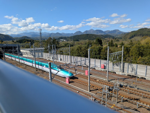 4560.jpg