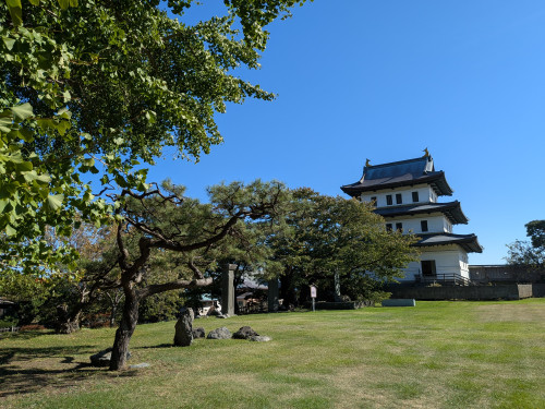 PXL_20261010_043613486.jpg