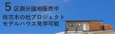 相談会バナー.jpg