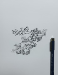 IMG_1652.jpeg