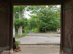 DSC_5665-01.jpeg